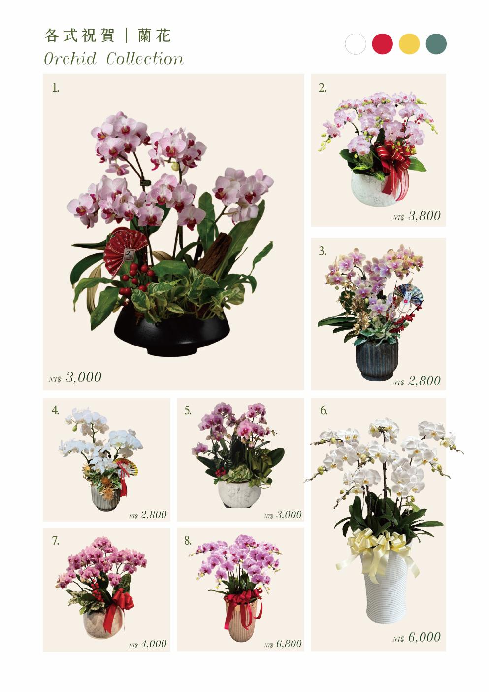 蘭花 1-8款