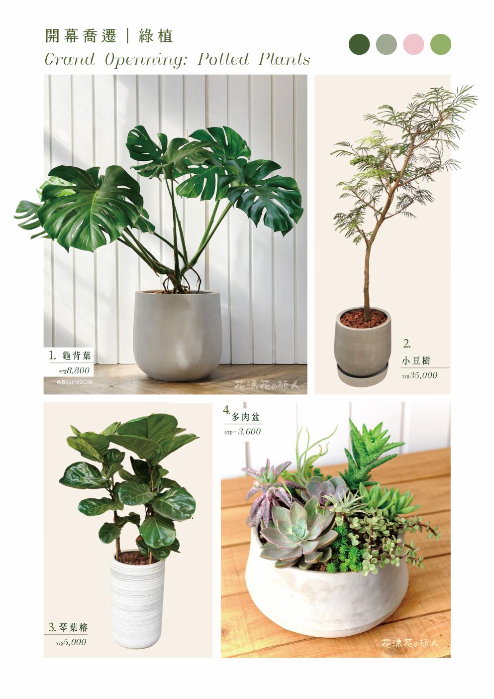 綠植 1-4款