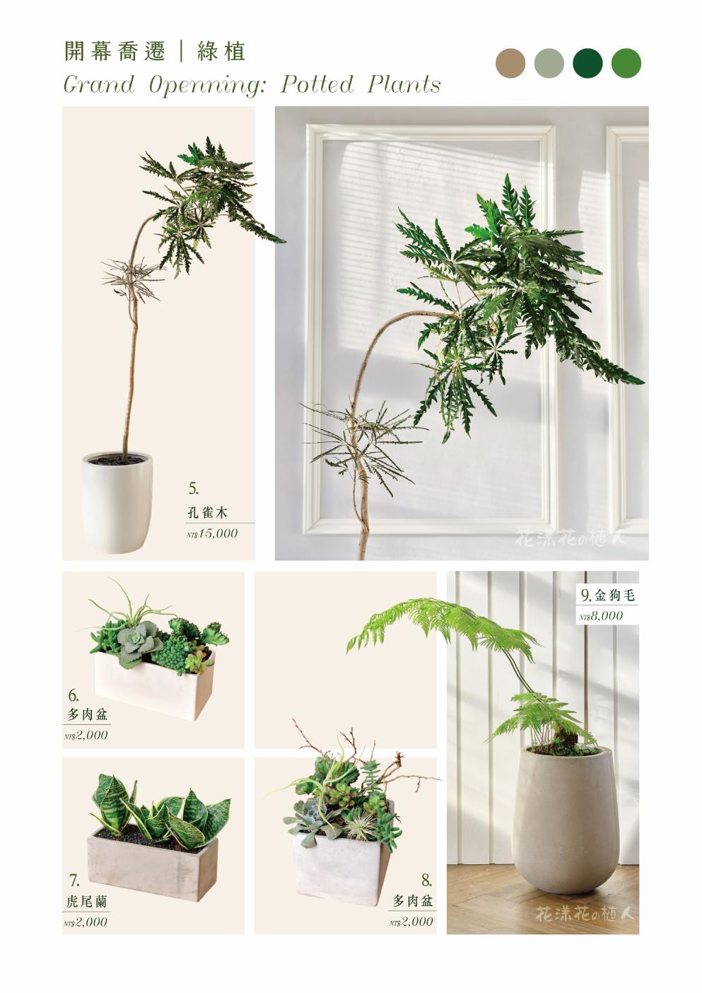綠植 5-9款