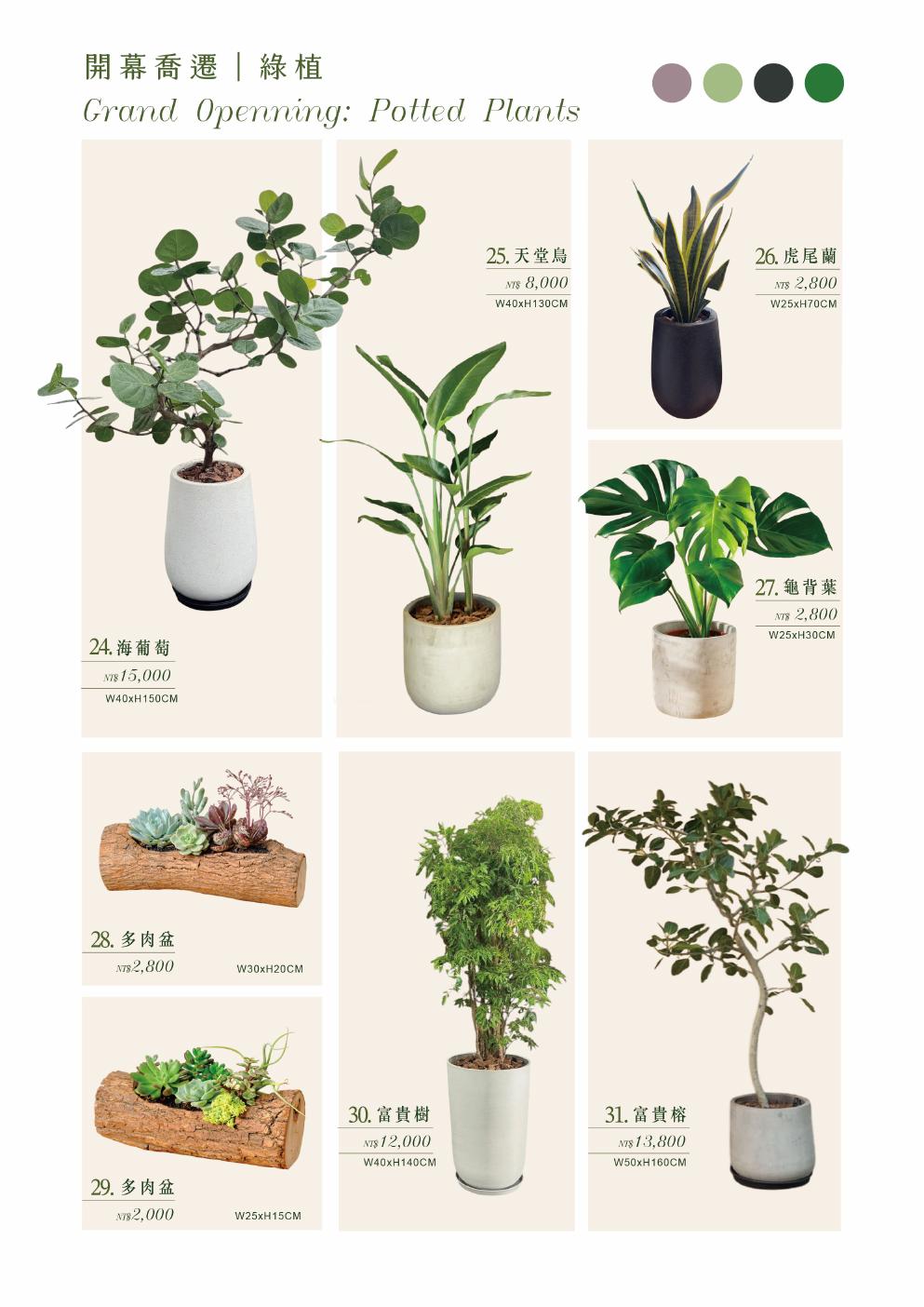 綠植 24-31款